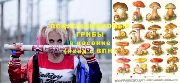 спайс Богородицк